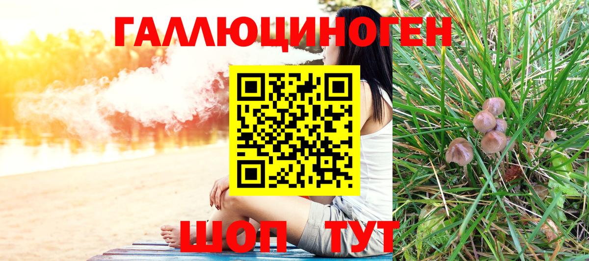 Псилоцибиновые грибы прущие грибы  Вход с VPN  Новый Уренгой  Галлюциногенные грибы мухоморы 